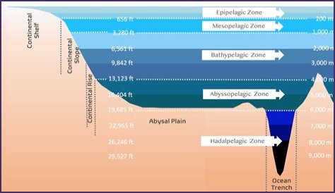 Exploring The Depths Of Art And Emotion